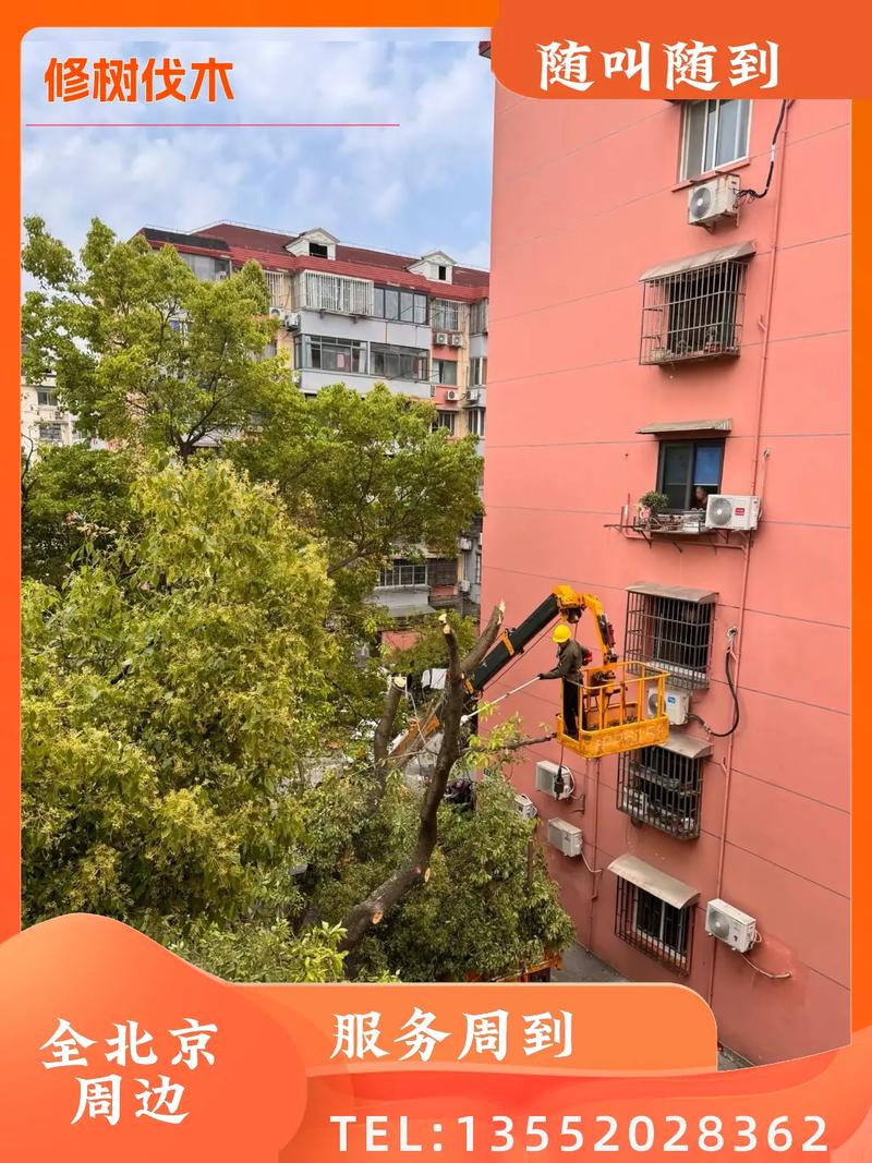 北京专业砍树修树公司,全北京接单,包括大兴